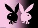 PlayBoy-bunny-playboy-5935209-800-600.jpg